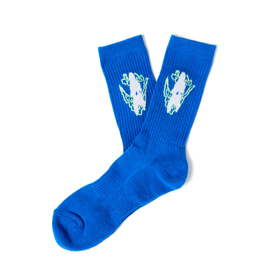 SOCKS 1