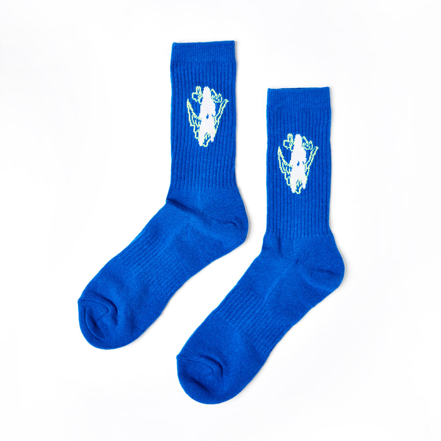 SOCKS 1