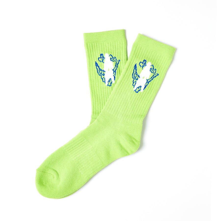 SOCKS 1