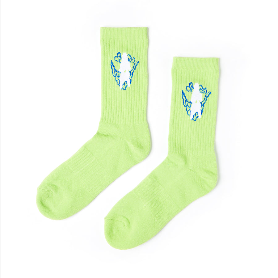 SOCKS 1