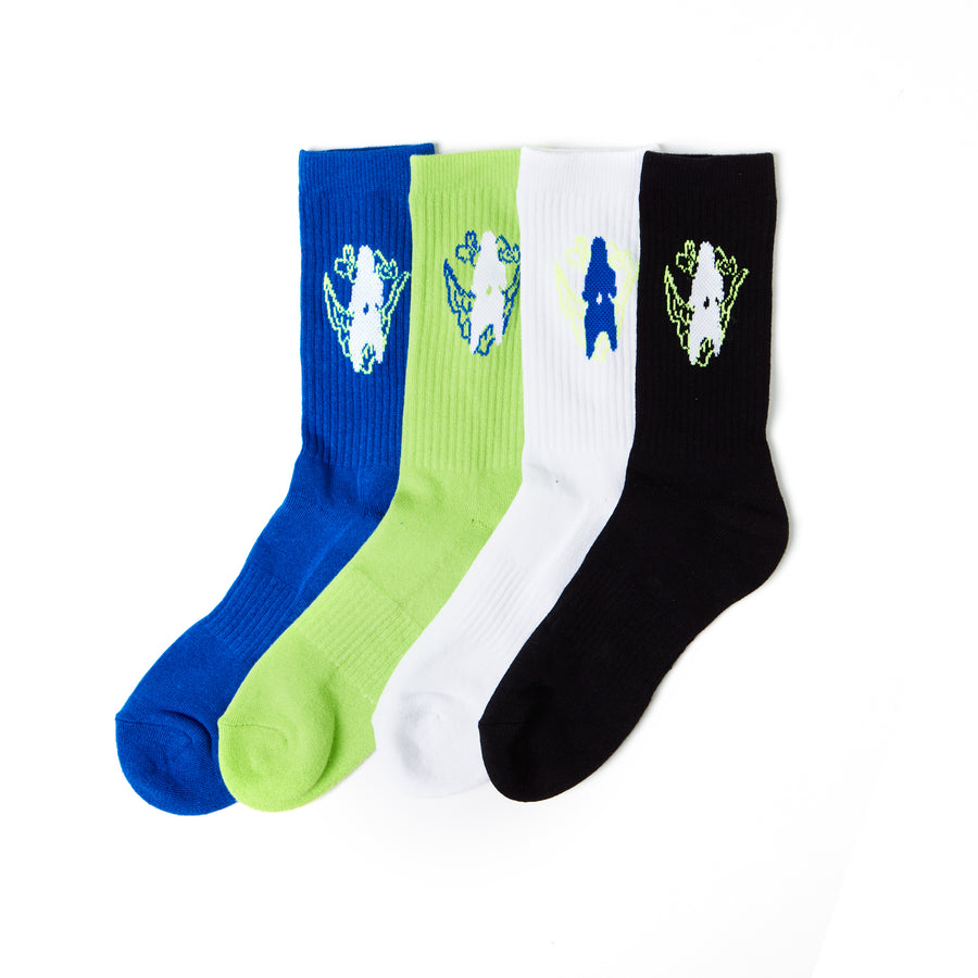 SOCKS 1